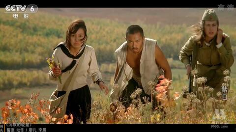 紫日电影在线观看免费,免费在线观看，探寻战火中的青春记忆