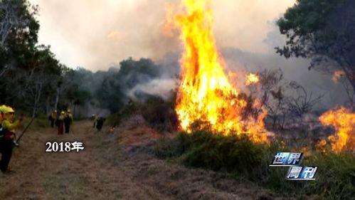 夏威夷火灾爆料视频播放,视频曝光惊人一幕  第3张